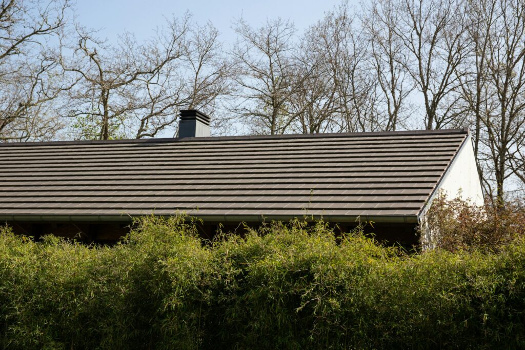 Toit de maison moderne avec une cheminée au milieu et des buissons épais en bas, entouré d'arbres sans feuilles.